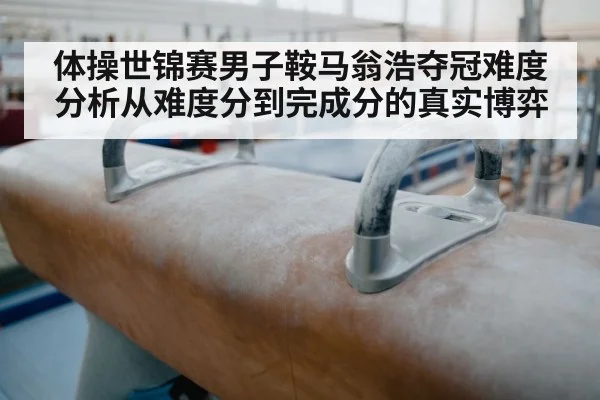 体操世锦赛男子鞍马翁浩夺冠难度分析从难度分到完成分的真实博弈